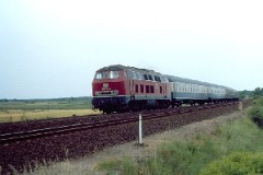 Schleswig, 8. June 1982